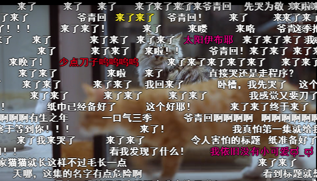 20.png