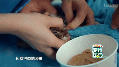 34.gif