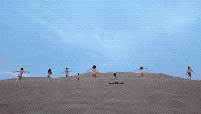 43.gif