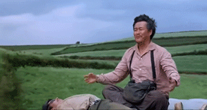 34.gif