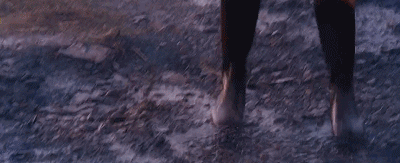 25.gif