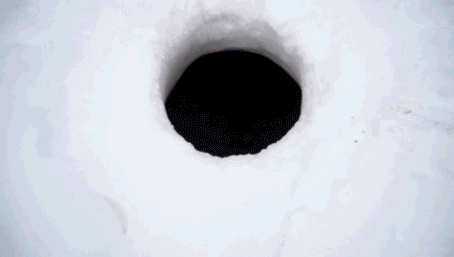 33.gif