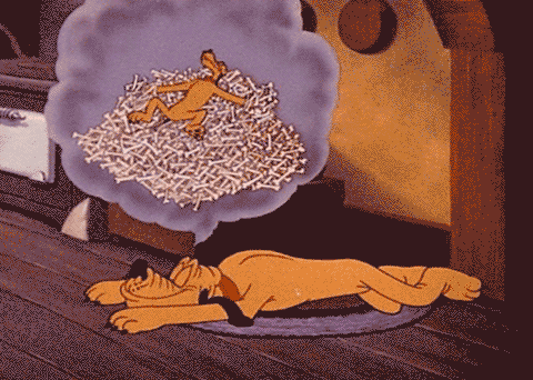 21.gif