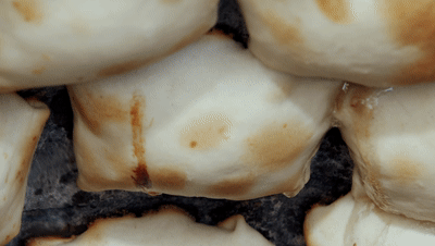 11.gif