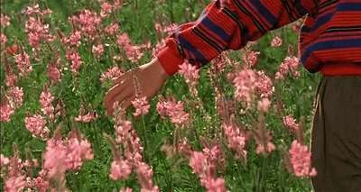 26.gif