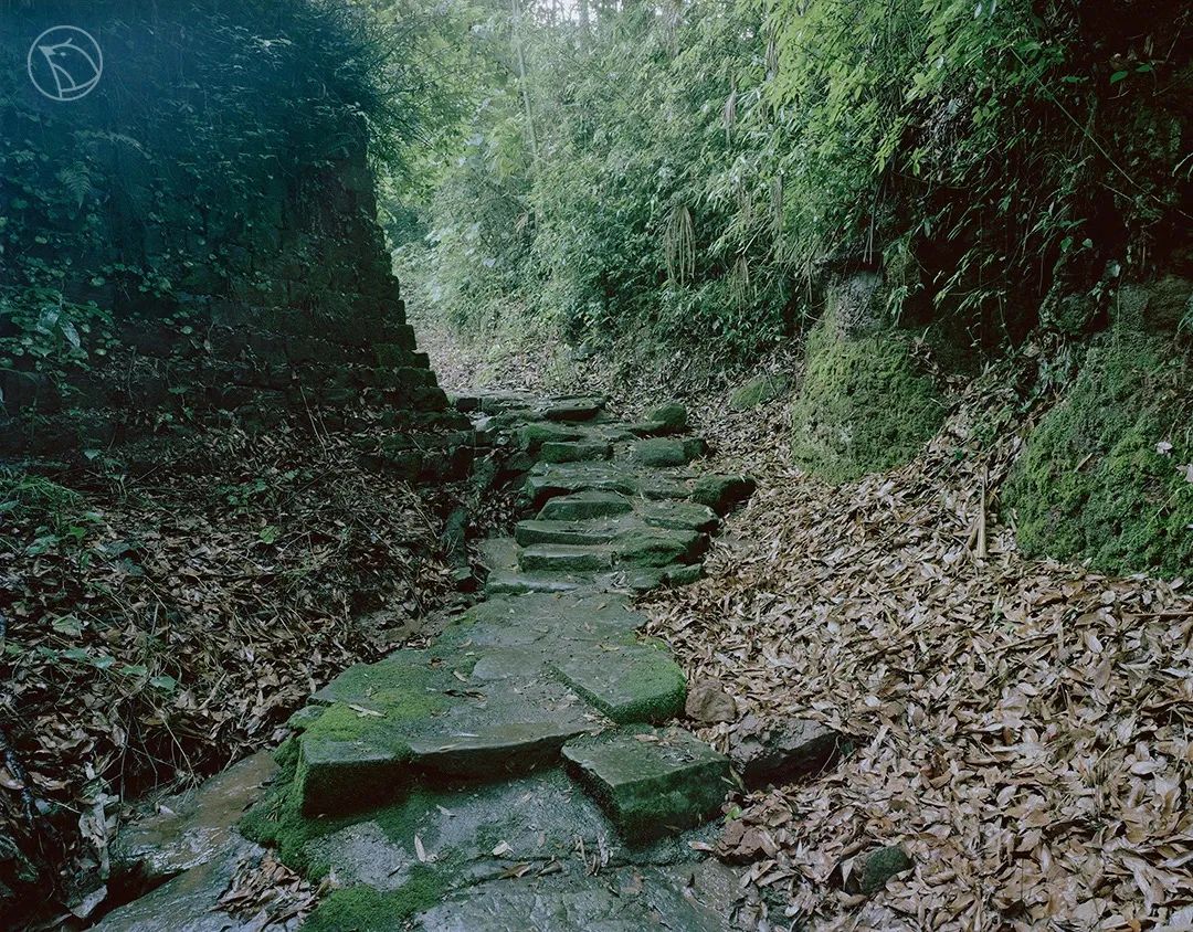 51.jpg