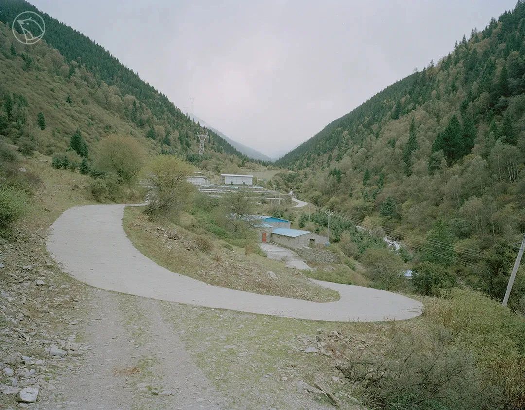 55.jpg