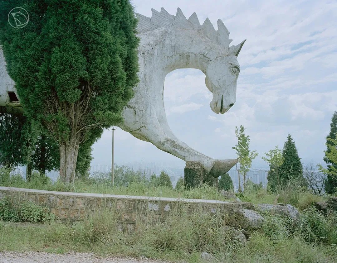 56.jpg