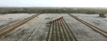 a542.gif