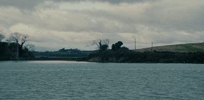 14.gif