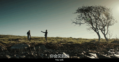 15.gif
