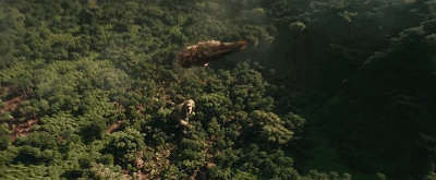 23.gif