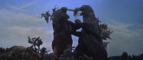 34.gif