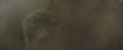 44.gif