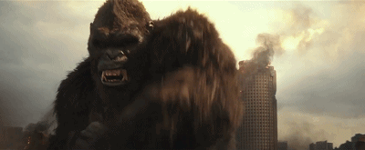 47.gif