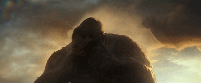 50.gif