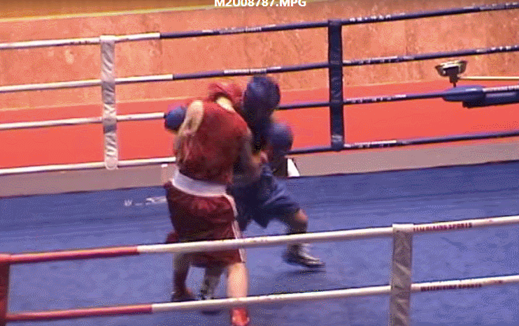 33.gif