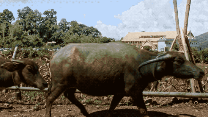 12.gif