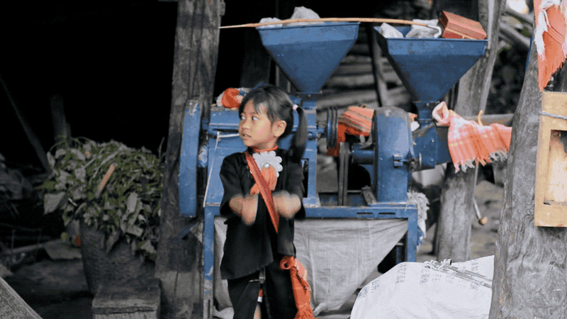 22.gif