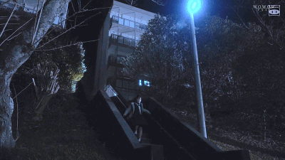 41.gif