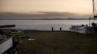 61.gif