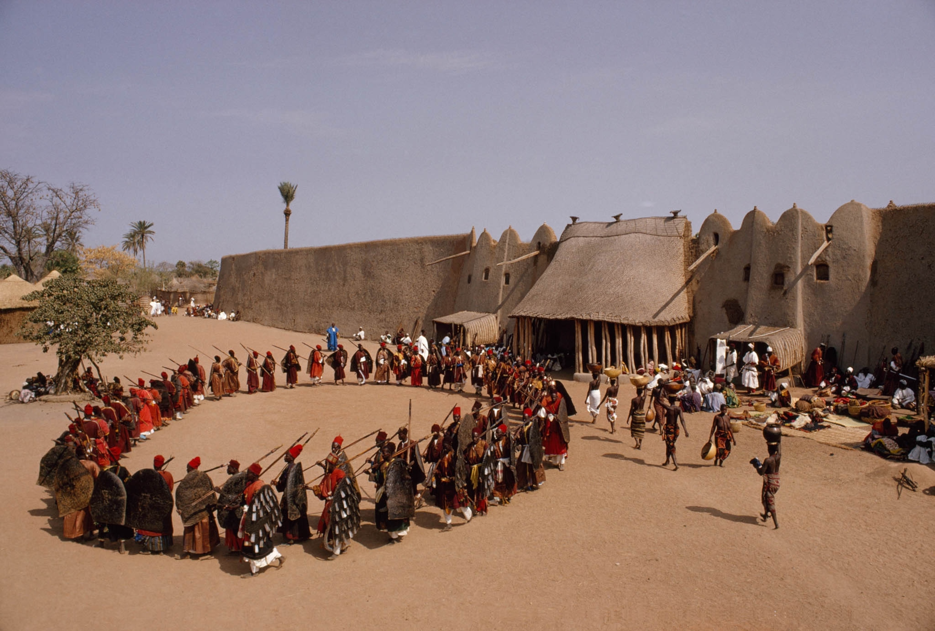 POD-12-04-2021_NationalGeographic_908062.jpg