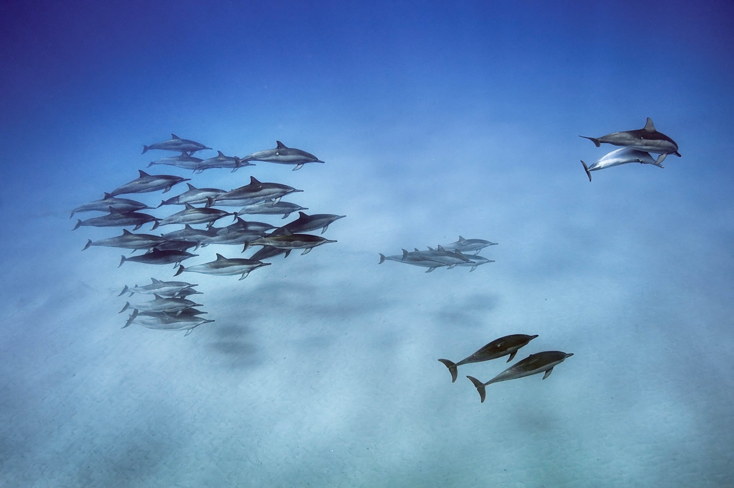 POD-14-04-2021_NationalGeographic_2201702.jpg