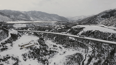 11.gif