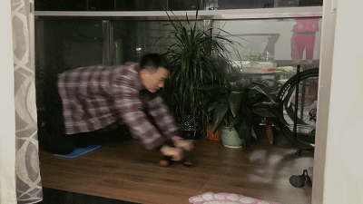 36.gif