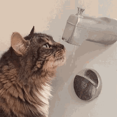 23.gif 23.gif
