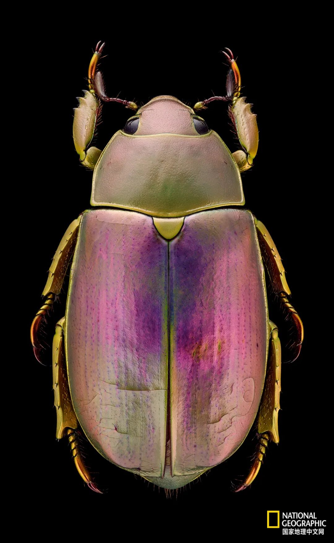92.jpg