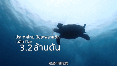 48.gif