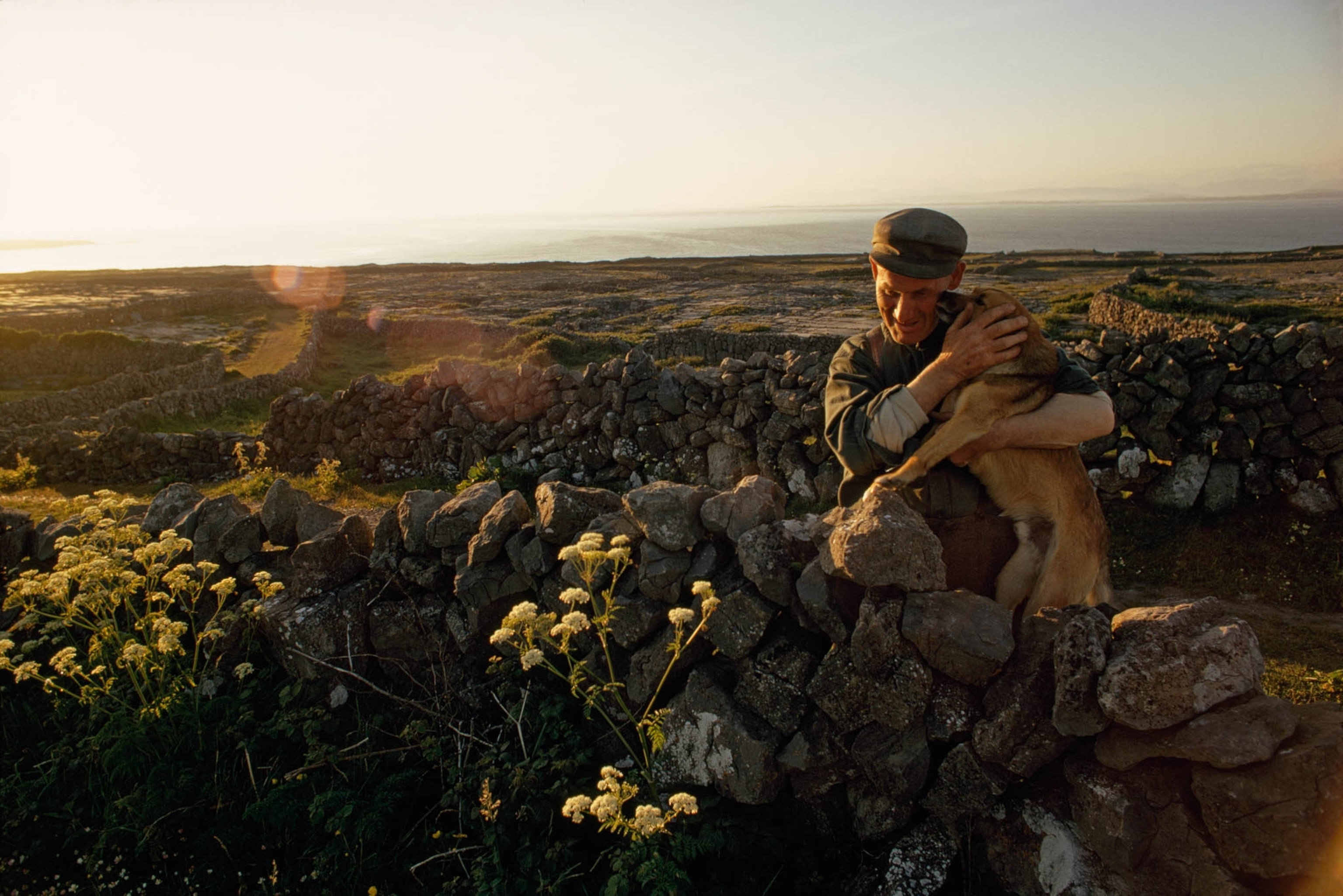 POD-21-04-2021_NationalGeographic_659368.jpg