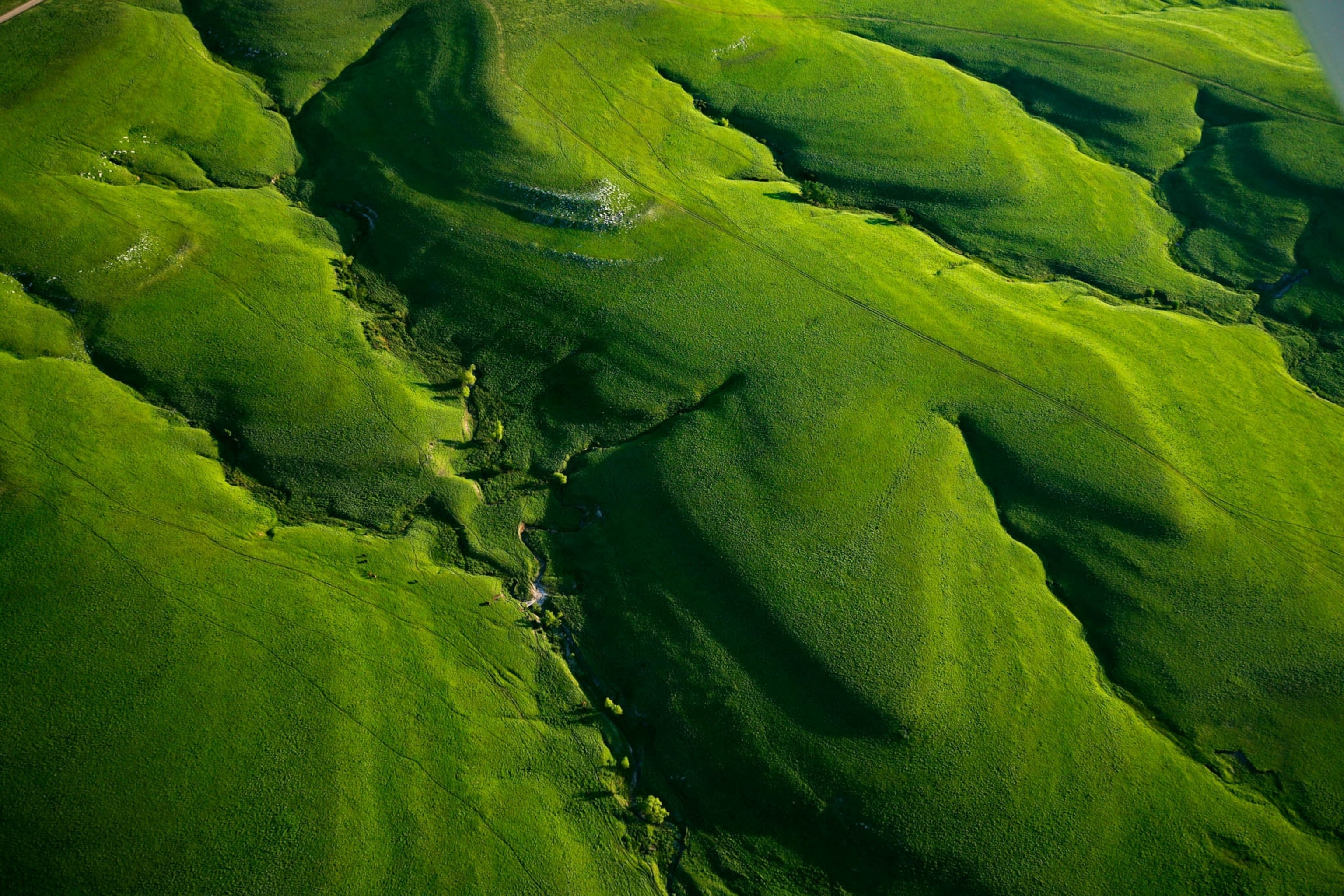 POD-22-04-2021_NationalGeographic_1055410.jpg