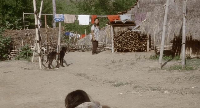 62.gif
