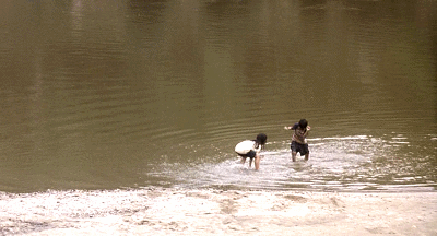 77.gif