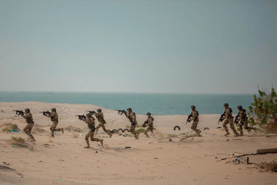 51.jpg
