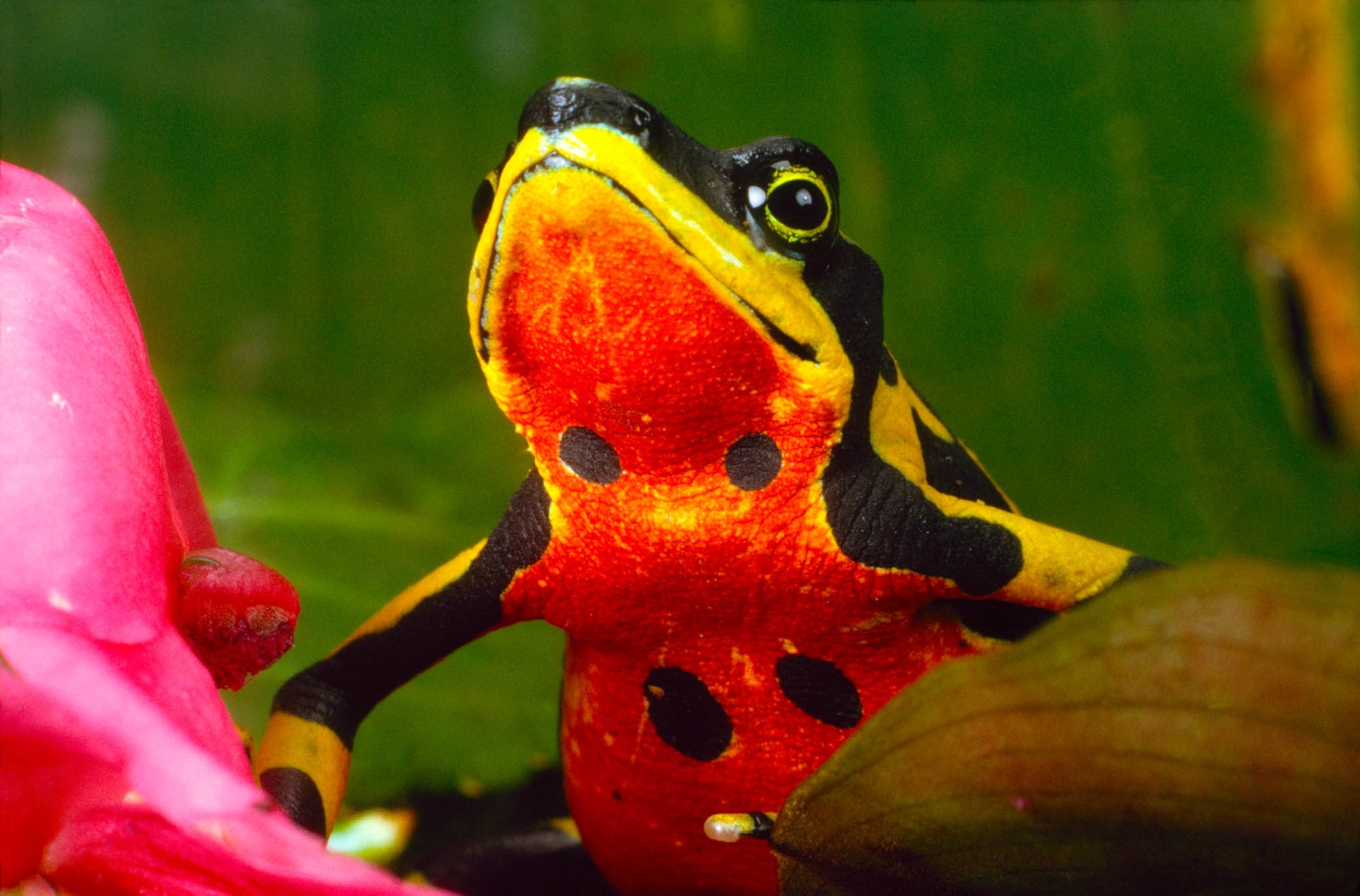 POD-24-04-2021_NationalGeographic_1027737.jpg