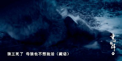 8.gif