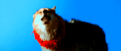 23.gif