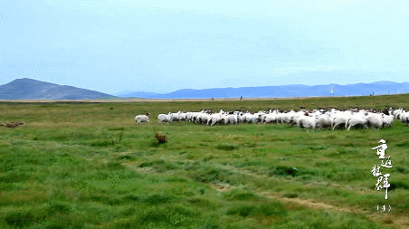 47.gif