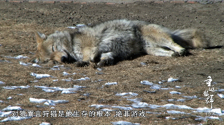 46.gif