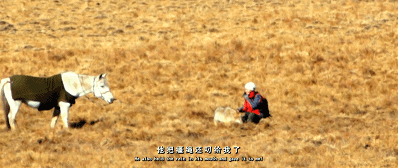 54.gif