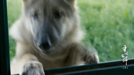 56.gif