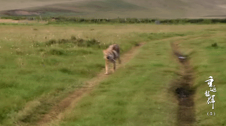 59.gif