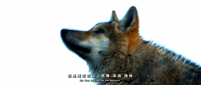 76.gif