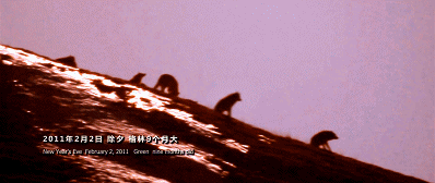 85.gif