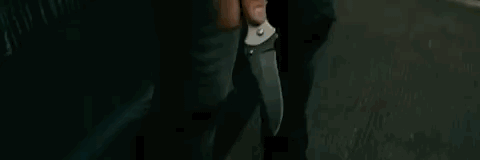 13.gif
