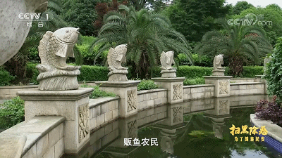 52.gif