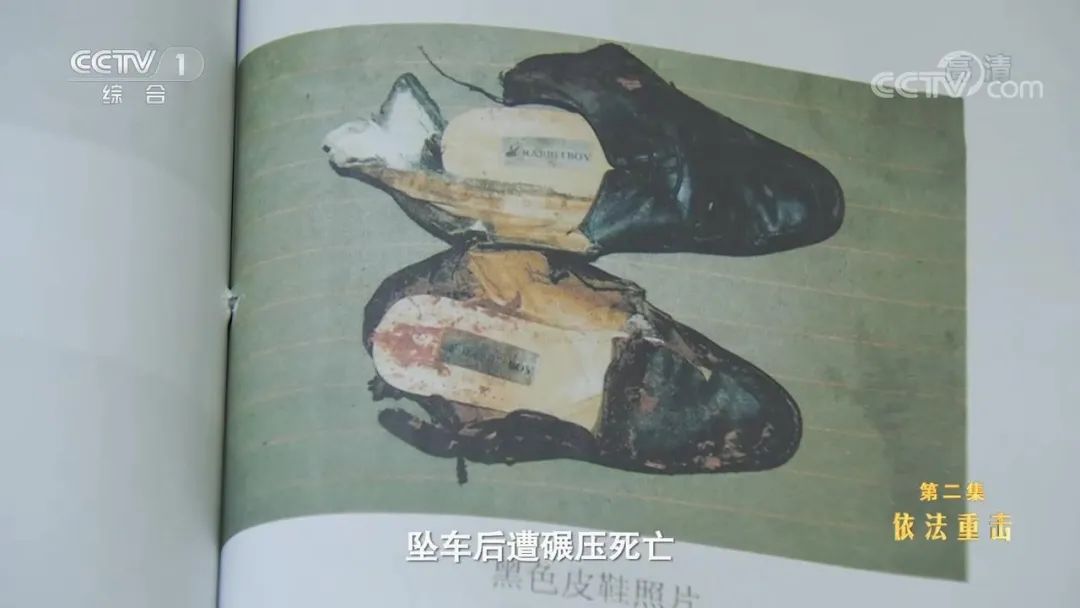 81.jpg